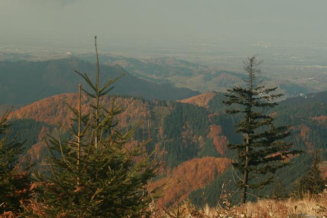 Schliffkopf 2007 Bild Nr 05